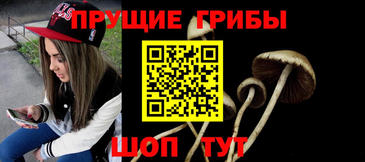 Назрань  Псилоцибиновые грибы мицелий  Галлюциногенные грибы мицелий  Вход с VPN 